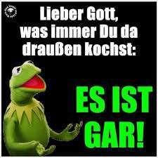 Rhodesian Ridgeback-Beitrag-Bild