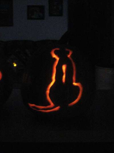 Rhodesian Ridgeback-Beitrag-Bild