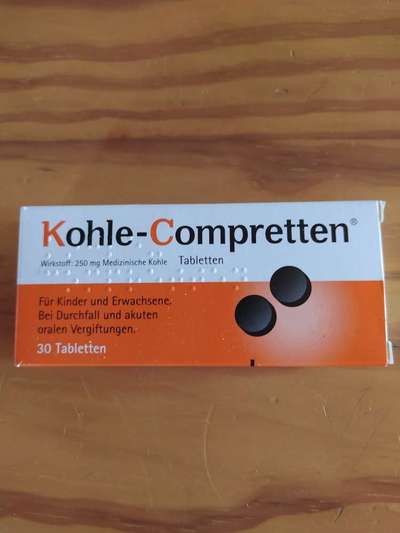 Rhodesian Ridgeback-Beitrag-Bild