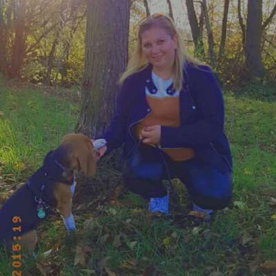 Hundetreffen-Beagle treffen Wendlingen-Bild