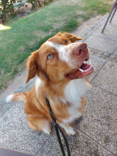 28. Farben Foto Challenge * BEIGE *-Beitrag-Bild