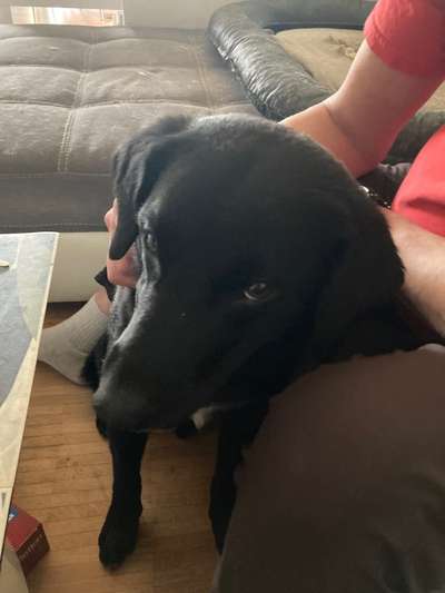 Fotochallange Nr. 57     PORTRÄT.   Beendet!!!!!!!!-Beitrag-Bild