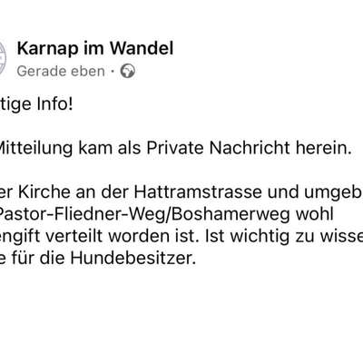 Giftköder-Rattengift-Bild