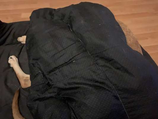 Die unbequemsten und lustigsten Schlafpositionen-Beitrag-Bild