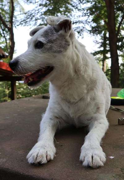 Fotochallenge Nr. 56 - geliebte Senioren-Beitrag-Bild