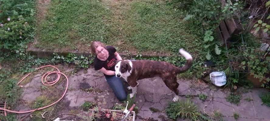 Seltene Rassen!-Beitrag-Bild