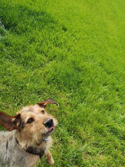 Fotochallange 84-Beitrag-Bild