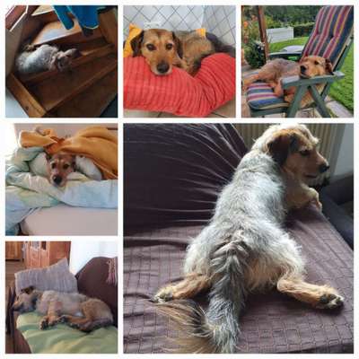 42. Collage Challenge - Ruheplatz-Beitrag-Bild