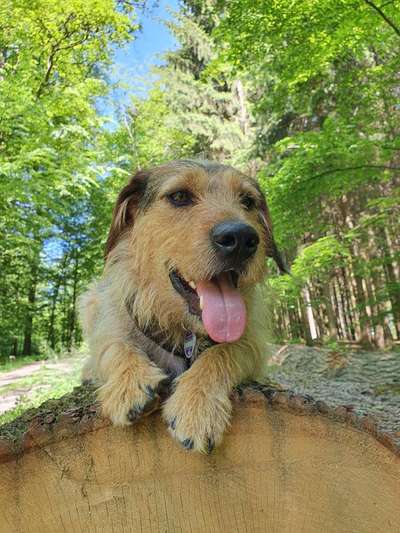 Theos  Fotochallenge Nummer 2-Beitrag-Bild