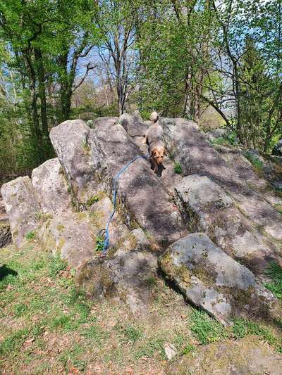 Ton in Ton-Beitrag-Bild