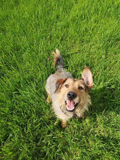 Das beste grinsefoto-Beitrag-Bild