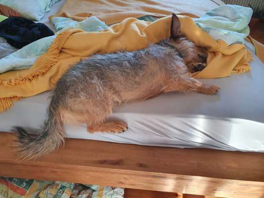 Relaxen im bett-Beitrag-Bild