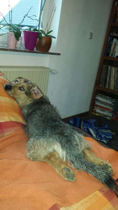 Die unbequemsten und lustigsten Schlafpositionen-Beitrag-Bild