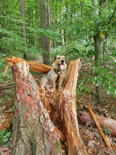 27. Handy Fotochallenge-Beitrag-Bild