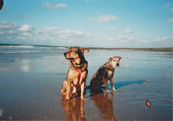 Theos Fotochallange Nummer 4-Beitrag-Bild