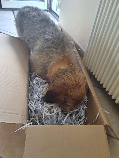 15. Handyfoto Challenge - Indoor Aktivitäten-Beitrag-Bild