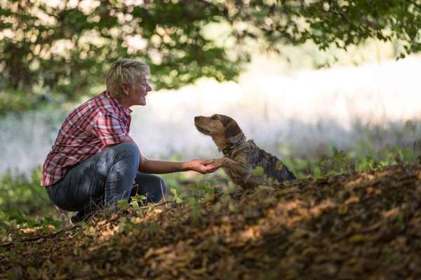 Hundmenschfotos-Beitrag-Bild