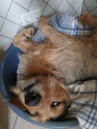 Fotowettbewerbe-Beitrag-Bild