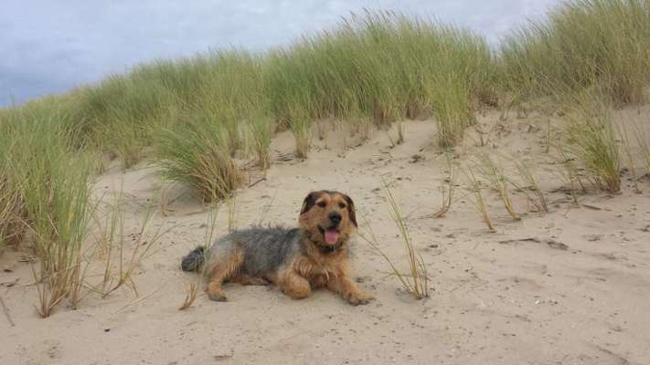 Doppelgänger gesucht !-Beitrag-Bild