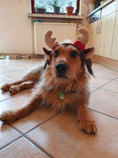 It's beginning to look a lot like.....-Beitrag-Bild