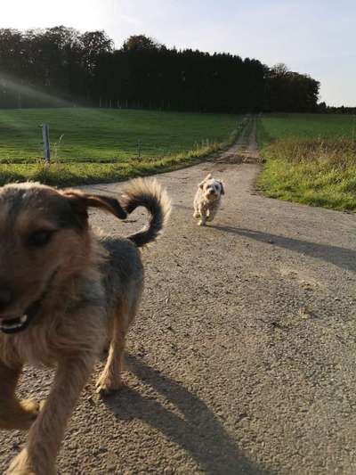 Lieblingsbild :D-Beitrag-Bild