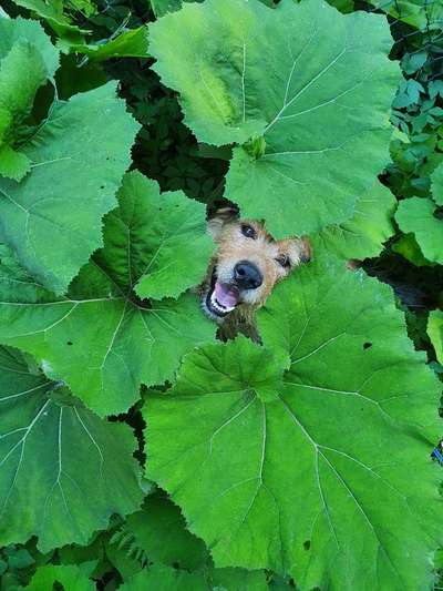 Handy-Foto Challange Nr. 10-Beitrag-Bild