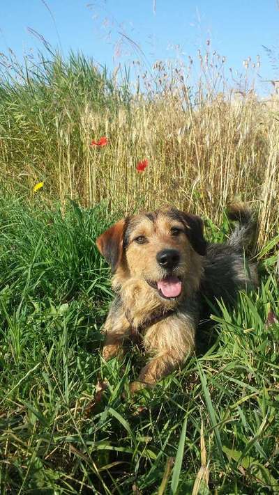 Fotochallenge 37- Sommerfeeling-Beitrag-Bild