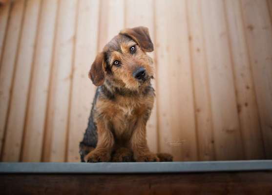 Sie werden so schnell erwachsen ...-Beitrag-Bild