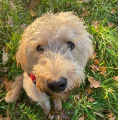 Fotochallange Nr. 57     PORTRÄT.   Beendet!!!!!!!!-Beitrag-Bild