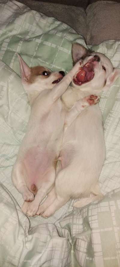 Fotochallange Nr. 6 Die irrsten Blicke-Beitrag-Bild