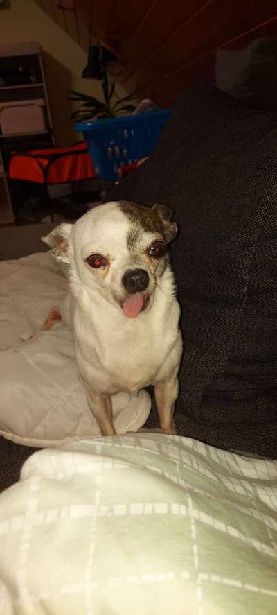 Fotochallange Nr. 6 Die irrsten Blicke-Beitrag-Bild