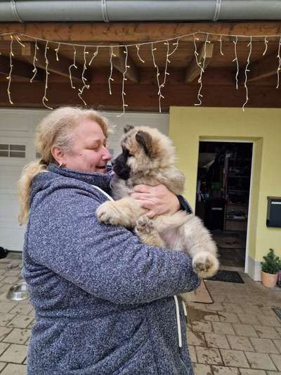 Lieblingsbild-Beitrag-Bild