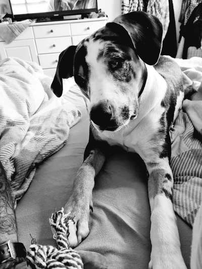 Foto-Challenge 76: Foto in Schwarz-Weiss-Beitrag-Bild