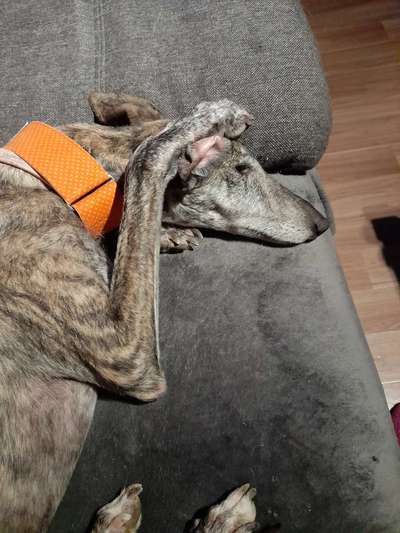 Schlafpositionen-Beitrag-Bild