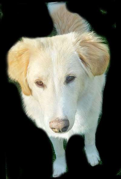 Nabelbruch bei Abschluss einer OP-Versicherung meldepflichtig?-Beitrag-Bild