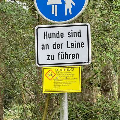 Giftköder-Giftköder-Bild
