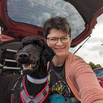 Hundetreffen-Dummy Trainingspartner