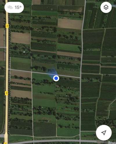 Giftköder-Weißes Granulat auf Feldweg-Bild