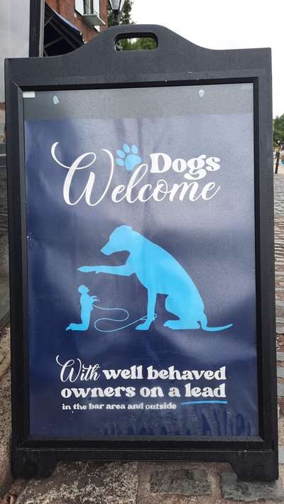 Gehören Hunde ins Restaurant?-Beitrag-Bild