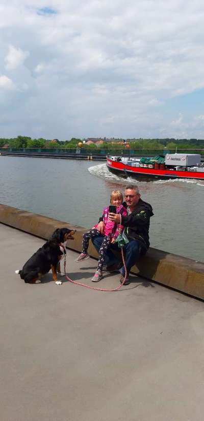 Dogorama-Monats-Challenge-Mai "Wasser"-Beitrag-Bild