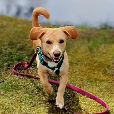 Klaudia's Profilbild