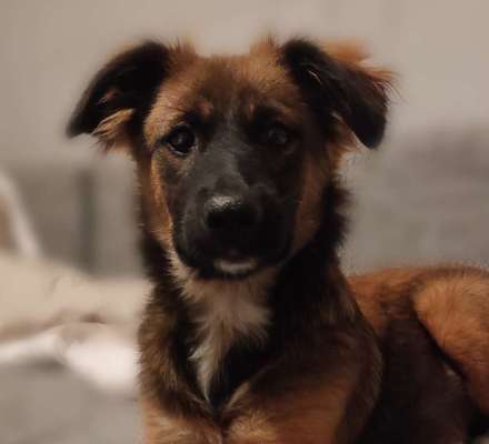 Fotochallange Nr. 57     PORTRÄT.   Beendet!!!!!!!!-Beitrag-Bild