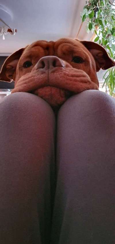 Fotochallange Nr. 57     PORTRÄT.   Beendet!!!!!!!!-Beitrag-Bild