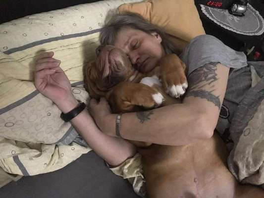 Darf der Hund bei Euch im Bett schlafen?-Beitrag-Bild