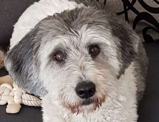 Fotochallange Nr. 57     PORTRÄT.   Beendet!!!!!!!!-Beitrag-Bild