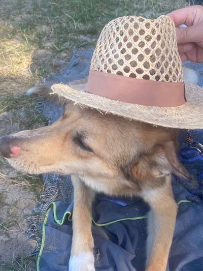 Rote Nase-Beitrag-Bild