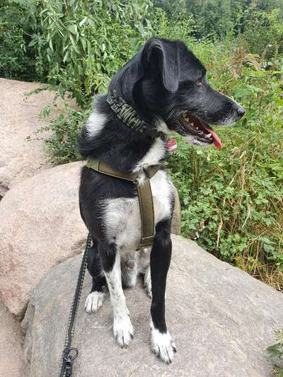 Foto-Challange No.1 - Alles aber nicht die Kamera-Beitrag-Bild