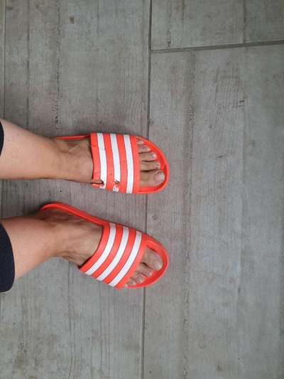 Was haben eure Hunde schon gefressen oder zerstört ?-Beitrag-Bild