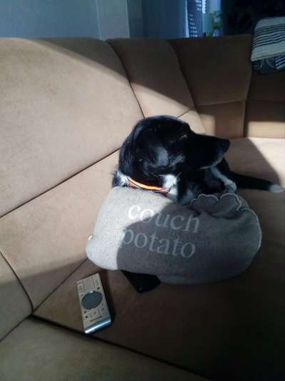 Lieblingsbild-Beitrag-Bild