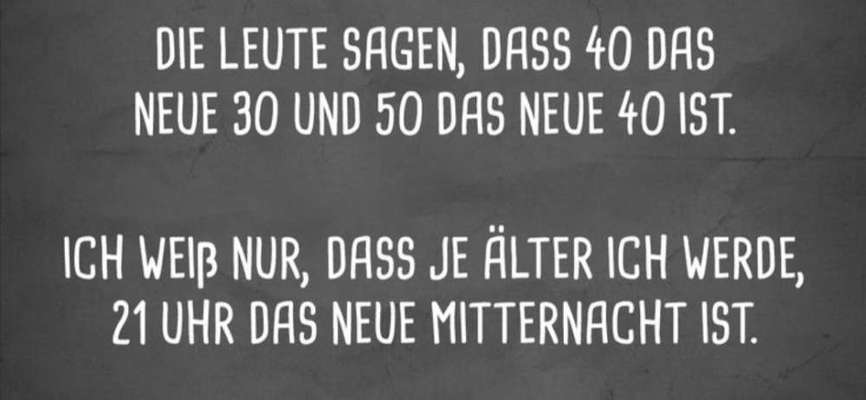 Luxusgut Hund-Beitrag-Bild